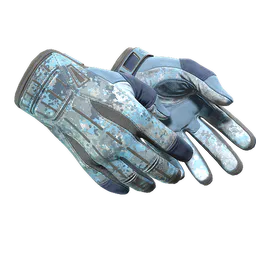 Sport Gloves Frosty Factory New - Preço e onde comprar no CS2