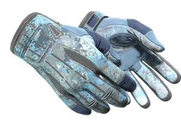 Sport Gloves | Frosty (Minimal Wear) — skin CS2
