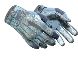 Sport Gloves | Frosty (Well-Worn) — skin CS2