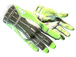 Sport Gloves | Hedge Maze (Field-Tested) — skin CS2