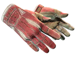 Sport Gloves | Slingshot (Well-Worn) — skin CS2