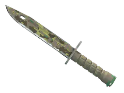 Bayonet | Boreal Forest (Well-Worn) — skin CS2