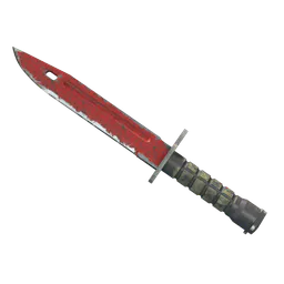 Bayonet | Crimson Web (Well-Worn) — skin CS2