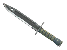 Bayonet | Night (Battle-Scarred) — skin CS2