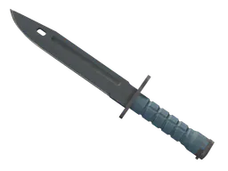 Bayonet | Night (Minimal Wear) — skin CS2