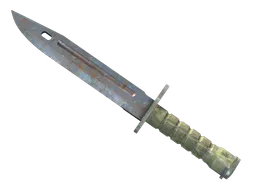 Bayonet | Rust Coat (Well-Worn) — skin CS2