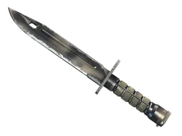 Bayonet | Scorched (Well-Worn) — skin CS2