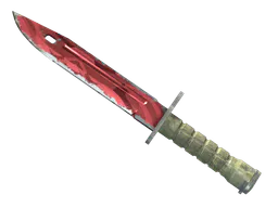 Bayonet | Slaughter (Field-Tested) — skin CS2