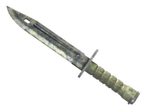 StatTrak™ Bayonet Stained Battle-Scarred - Preço e onde comprar no CS2