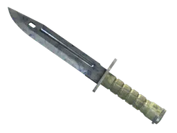 Bayonet | Stained (Factory New) — skin CS2