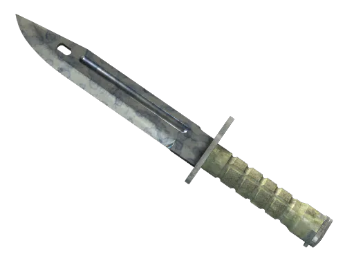 StatTrak™ Bayonet Stained Well-Worn - Preço e onde comprar no CS2