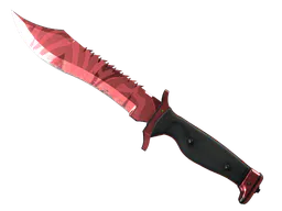 Bowie Knife | Slaughter (Field-Tested) — skin CS2