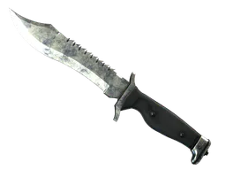 Bowie Knife | Stained (Battle-Scarred) — skin CS2