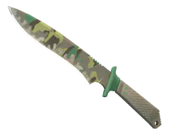 Classic Knife | Boreal Forest (Well-Worn) — skin CS2