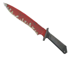 Classic Knife | Crimson Web (Well-Worn) — skin CS2
