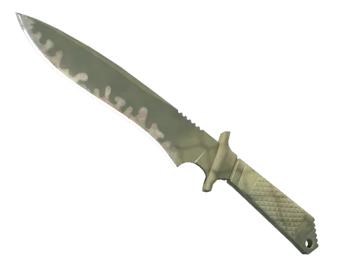 StatTrak™ Classic Knife Safari Mesh Well-Worn - Preço e onde comprar no CS2