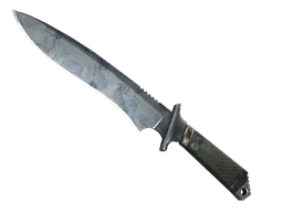 Classic Knife | Stained (Factory New) — skin CS2