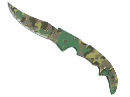 Falchion Knife | Boreal Forest (Well-Worn) — skin CS2