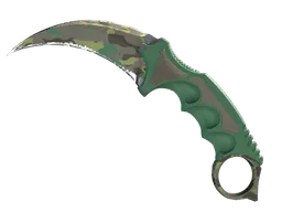 Karambit | Boreal Forest (Well-Worn) — skin CS2
