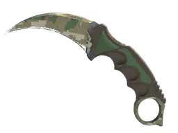 Karambit | Forest DDPAT (Well-Worn) — skin CS2