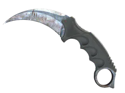 Karambit | Rust Coat (Well-Worn) — skin CS2