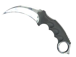Karambit | Stained (Field-Tested) — skin CS2