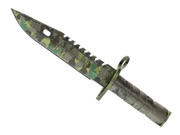 M9 Bayonet | Boreal Forest (Well-Worn) — skin CS2