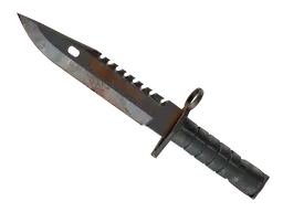 M9 Bayonet | Rust Coat (Battle-Scarred) — skin CS2