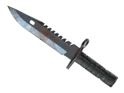 M9 Bayonet | Rust Coat (Well-Worn) — skin CS2