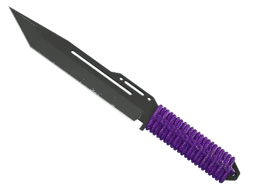 StatTrak™ Paracord Knife Ultraviolet Well-Worn - Preço e onde comprar no CS2