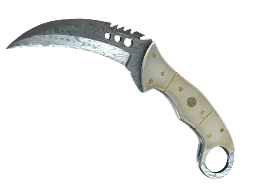 StatTrak™ Talon Knife Damascus Steel Field-Tested - Preço e onde comprar no CS2