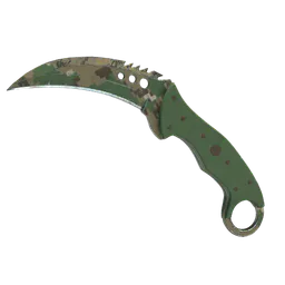 Talon Knife | Forest DDPAT (Well-Worn) — skin CS2