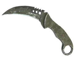 Talon Knife | Safari Mesh (Battle-Scarred) — skin CS2