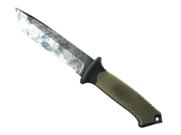 Ursus Knife | Stained (Battle-Scarred) — skin CS2