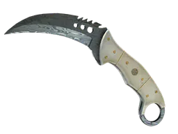 Talon Knife | Damascus Steel (Battle-Scarred) — skin CS2