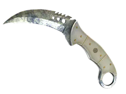 Talon Knife | Stained (Battle-Scarred) — skin CS2