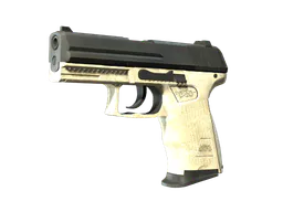 P2000 | Ivory (Factory New) — skin CS2