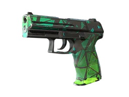 P2000 | Pulse (Well-Worn) — skin CS2