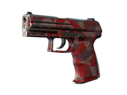 P2000 | Red FragCam (Well-Worn) — skin CS2