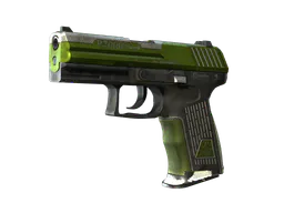 P2000 | Turf (Battle-Scarred) — skin CS2