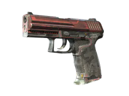 P2000 | Urban Hazard (Well-Worn) — skin CS2