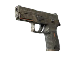 P250 | Bullfrog (Battle-Scarred) — skin CS2