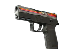 P250 | Cassette (Field-Tested) — skin CS2