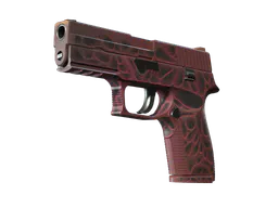 P250 | Contaminant (Minimal Wear) — skin CS2