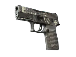 P250 | Re.built (Battle-Scarred) — skin CS2