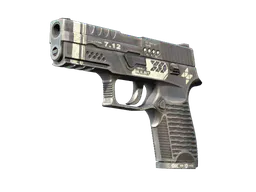 P250 | Re.built (Factory New) — skin CS2