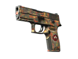 P250 | Red Rock (Battle-Scarred) — skin CS2