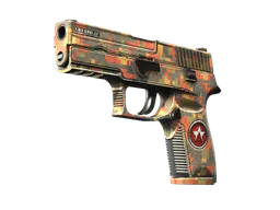 P250 | Red Rock (Factory New) — skin CS2