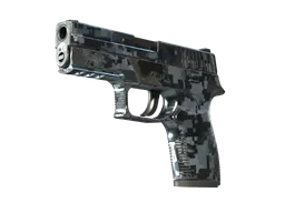 P250 | Steel Disruption (Field-Tested) — skin CS2