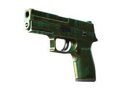 P250 | Verdigris (Battle-Scarred) — skin CS2
